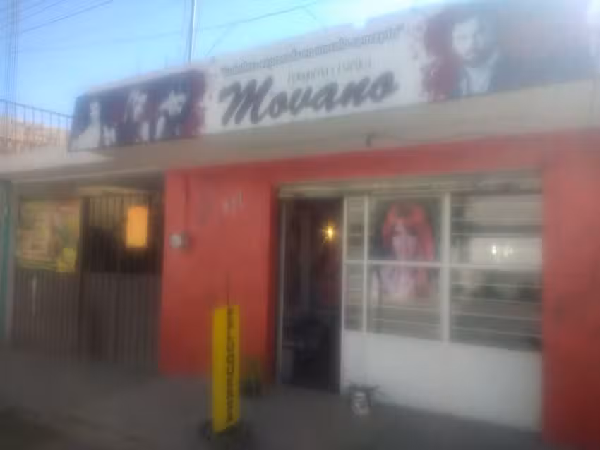 Peluquer&iacute;a MOVANO