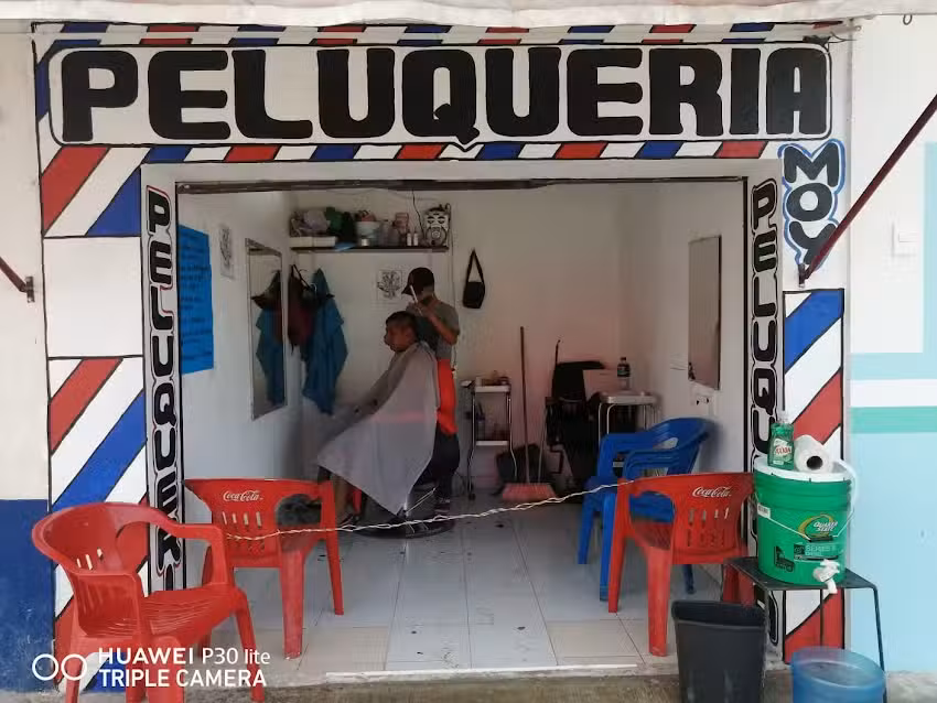 Peluquer&iacute;a Moy
