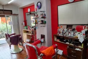 Peluquer&iacute;a Nueva Novedades