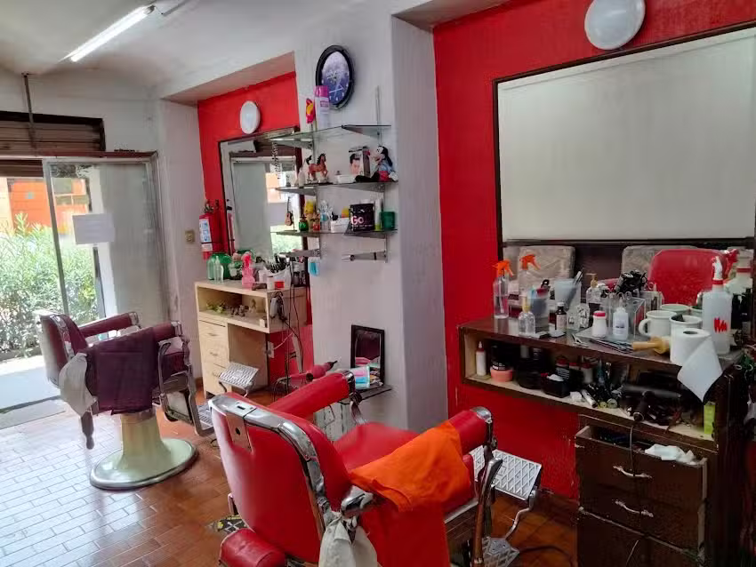 Peluquer&iacute;a Nueva Novedades