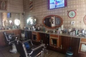 Peluquer&iacute;a Octavio