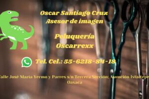Peluquer&iacute;a Oscarrexx