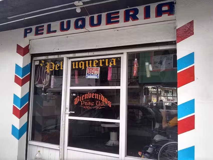 Peluquer&iacute;a &ldquo;Pase Ud&rdquo;