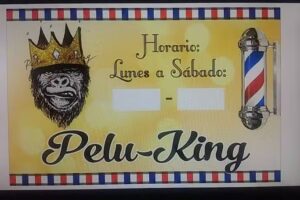 Peluquer&iacute;a pelu-king