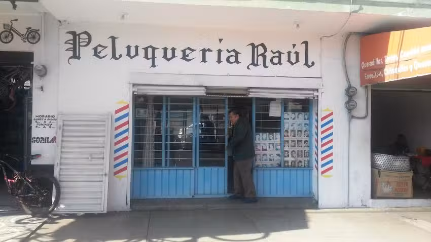 Peluquer&iacute;a Ra&uacute;l