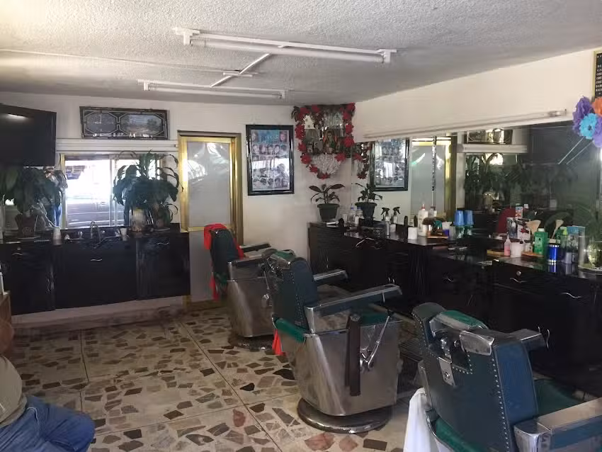 Peluquer&iacute;a Reforma