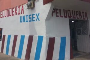 PELUQUER&Iacute;A REYES