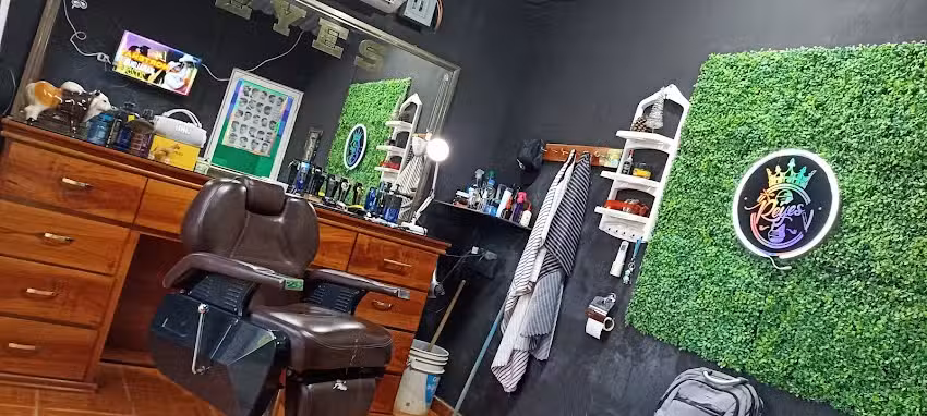 peluquer&iacute;a Reyes