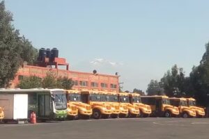 Peluqueria Rizo De Oro