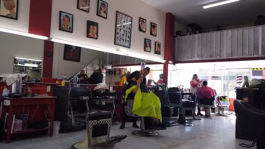 Peluquer&iacute;a ROMA