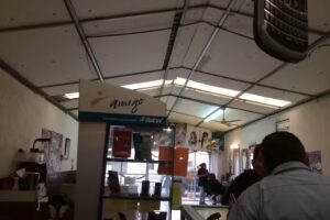 Peluquer&iacute;a selina su estilista profesional