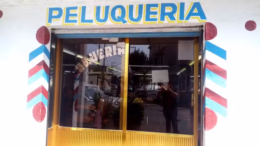 Peluquer&iacute;a Se&ntilde;orial