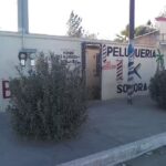 Peluquer&iacute;a Sonora