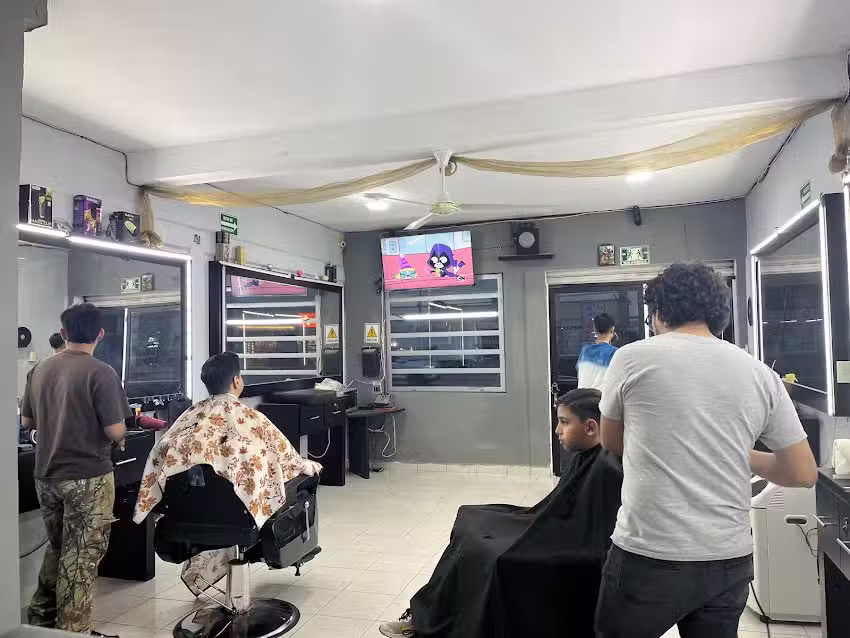 Peluquer&iacute;a Sosa Puerta Real