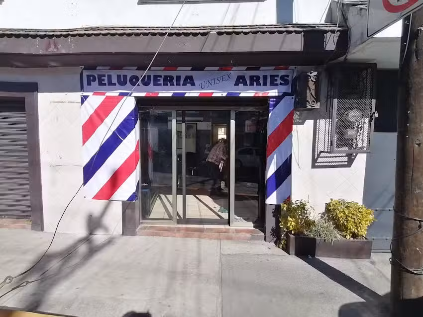 Peluqueria Unisex Aries