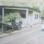 Peluqueria Veloz