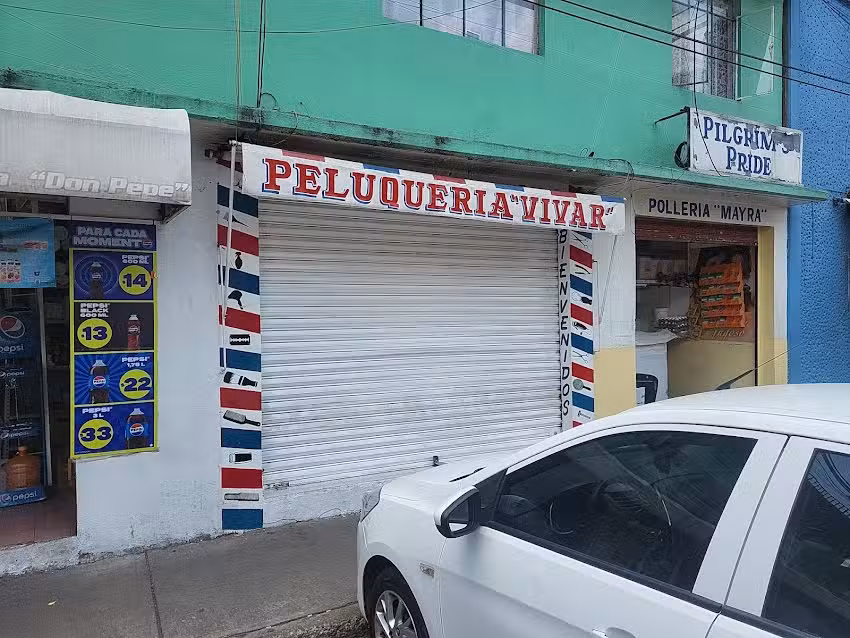 PELUQUER&Iacute;A &ldquo;VIVAR&rdquo;