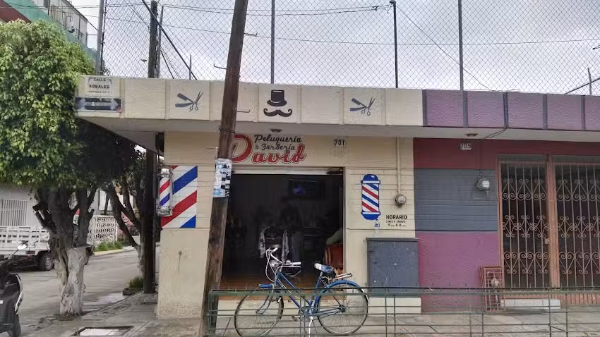Peluquer&iacute;a Y Barber&iacute;a David