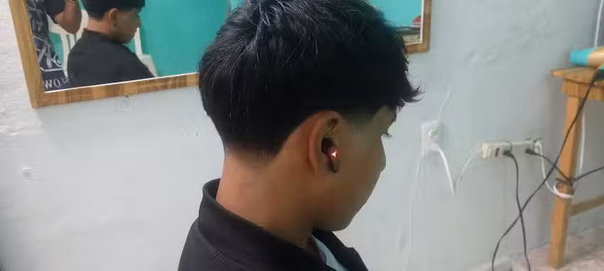 Peluquer&iacute;a y barber&iacute;a wahl