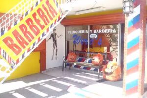Peluquer&iacute;a y Barber&iacute;a Wero&rsquo;s