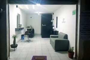 Peluquería y estética