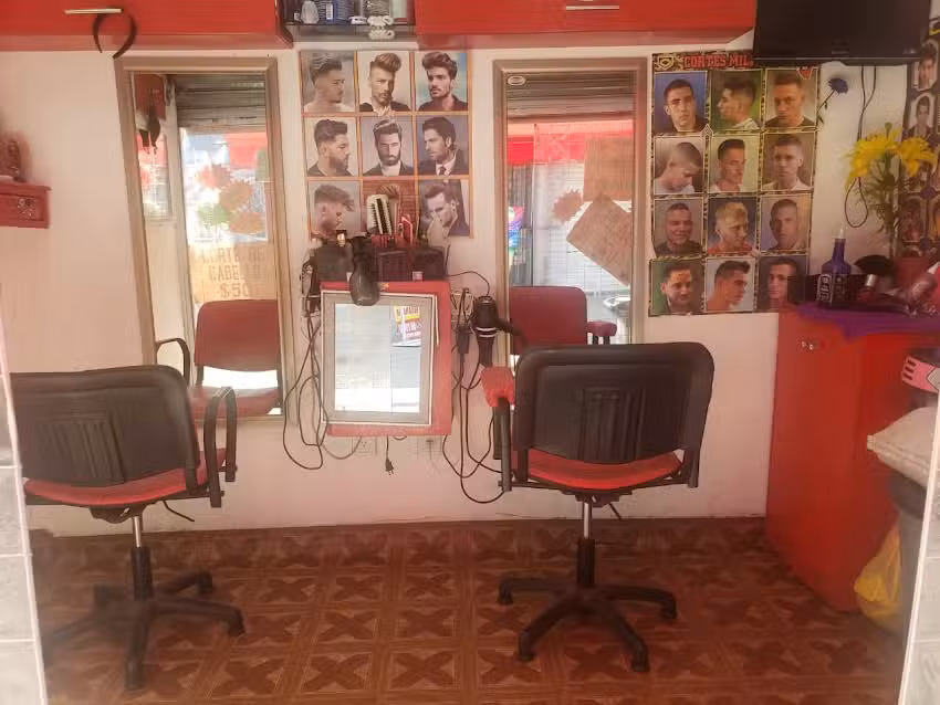 Peluquer&iacute;a y Est&eacute;tica