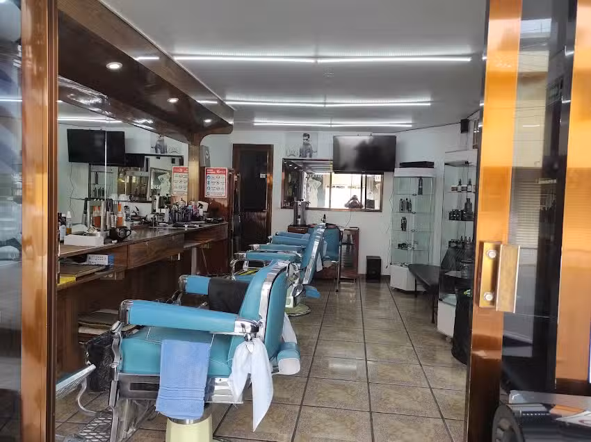 Peluquer&iacute;a y Est&eacute;tica APOLO