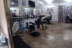 PELUQUERIA Y ESTETICA DELFIN