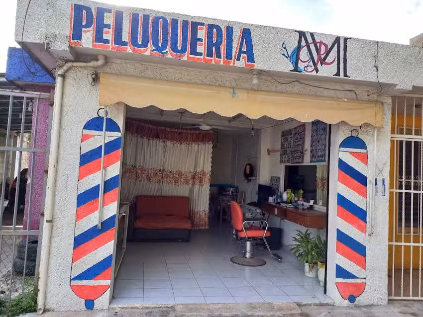 Peluquer&iacute;a y est&eacute;tica Mr