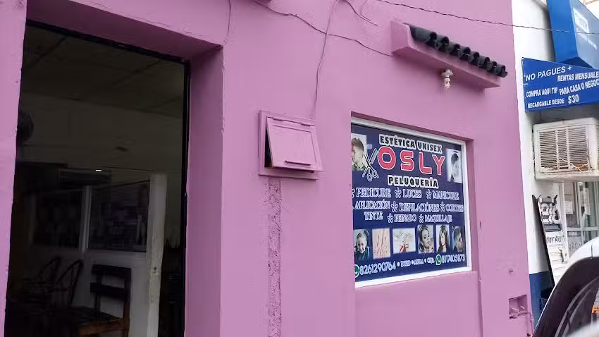 Peluqueria Y Estetica Osly