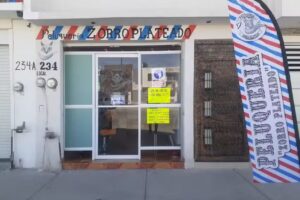 Peluqueria Zorro Plateado