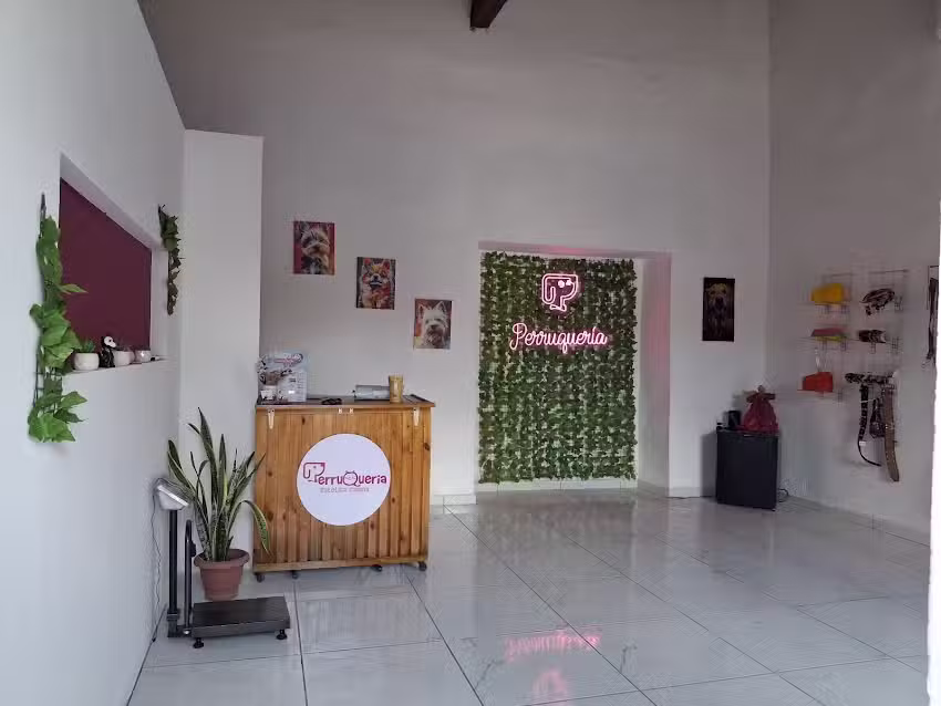 Perruqueria colima