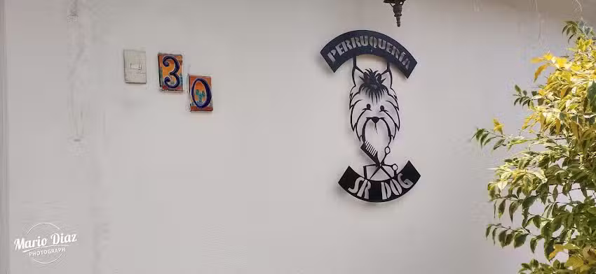 Perruqueria Sr. Dog