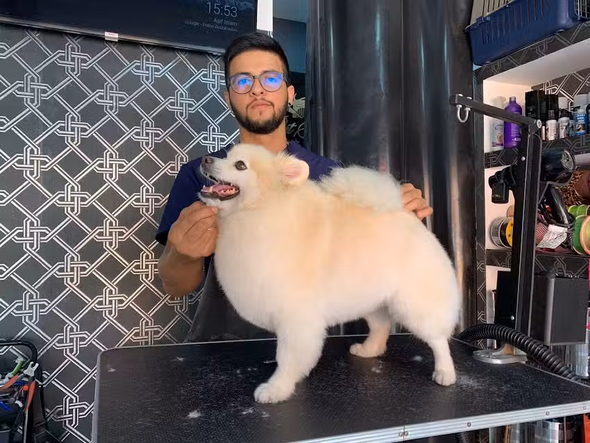 Pet Spa by Sthetic Maga&ntilde;a
