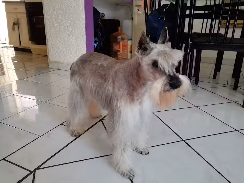 PIPER&rsquo;S spa