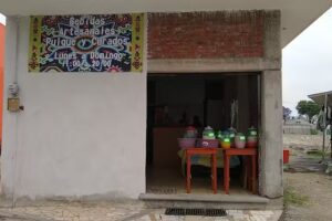 Pulques y Curados, Bebidas Artesanales del Altiplano