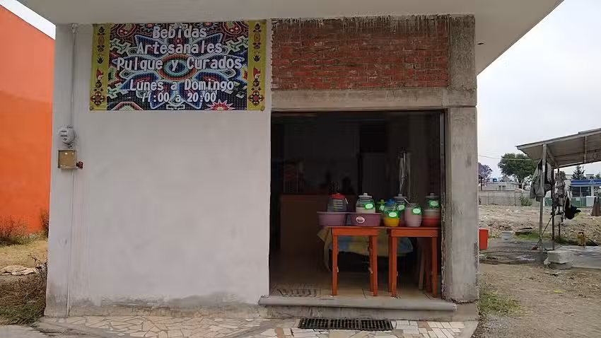 Pulques y Curados, Bebidas Artesanales del Altiplano