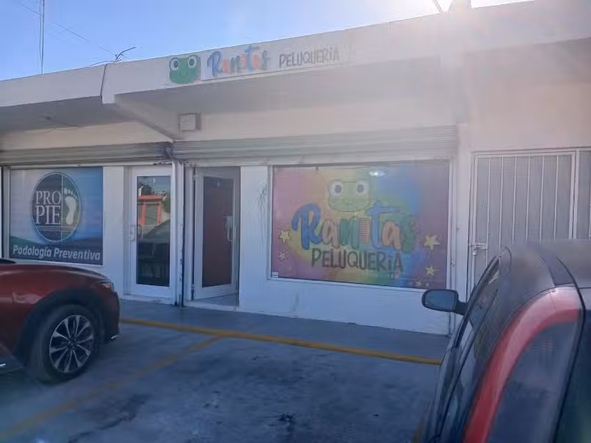 Ranitas Peluquer&iacute;a Infantil, Monclova