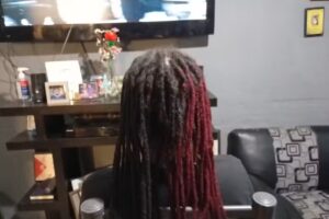 Rastas-Dreadlocks Cats