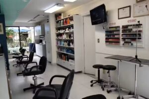 Sal&oacute;n Sa&uacute;l Mart&iacute;nez