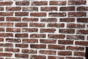 San Bigotes Peluquer&iacute;a