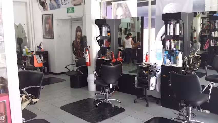 Saris Est&eacute;tica