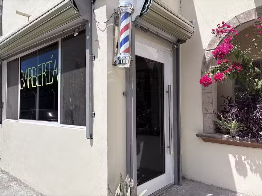 Silva&rsquo;s Cuts ️