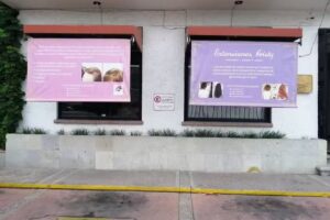 Soluciones Capilares by Extensiones Cristy