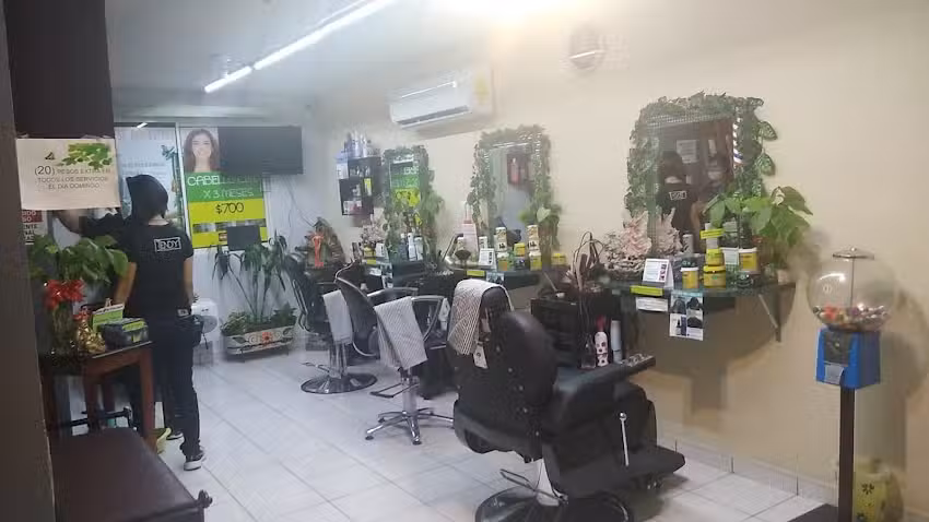 TENDY PELUQUER&Iacute;A