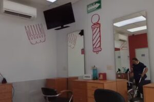 Tijera Dorada Terranova