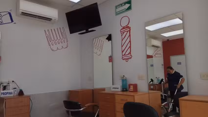 Tijera Dorada Terranova