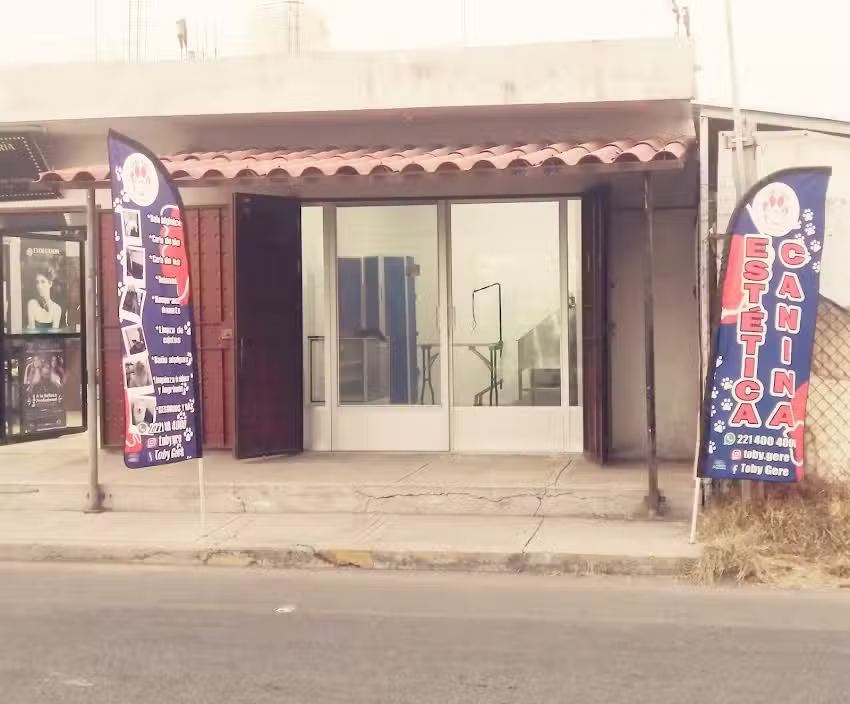 Toby Gere Est&eacute;tica Canina