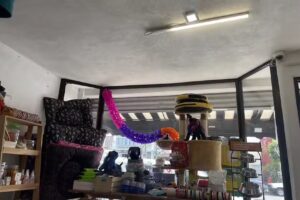 Veterinaria Pets & Paws