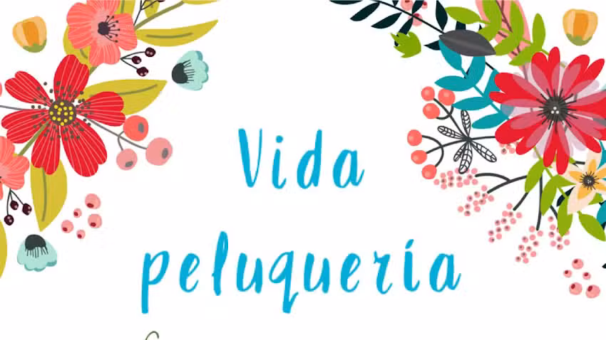 Vida Peluquer&iacute;a